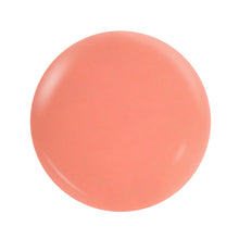 Load image into Gallery viewer, M111 PUMKIN SPICE DUO