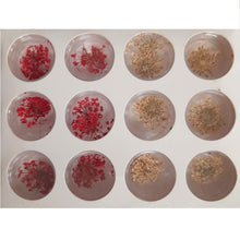 Load image into Gallery viewer, Nail Art - Dried Flowers