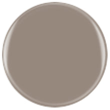 Load image into Gallery viewer, DIVA032 - Grey-ie Day
