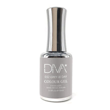 Load image into Gallery viewer, DIVA032 - Grey-ie Day
